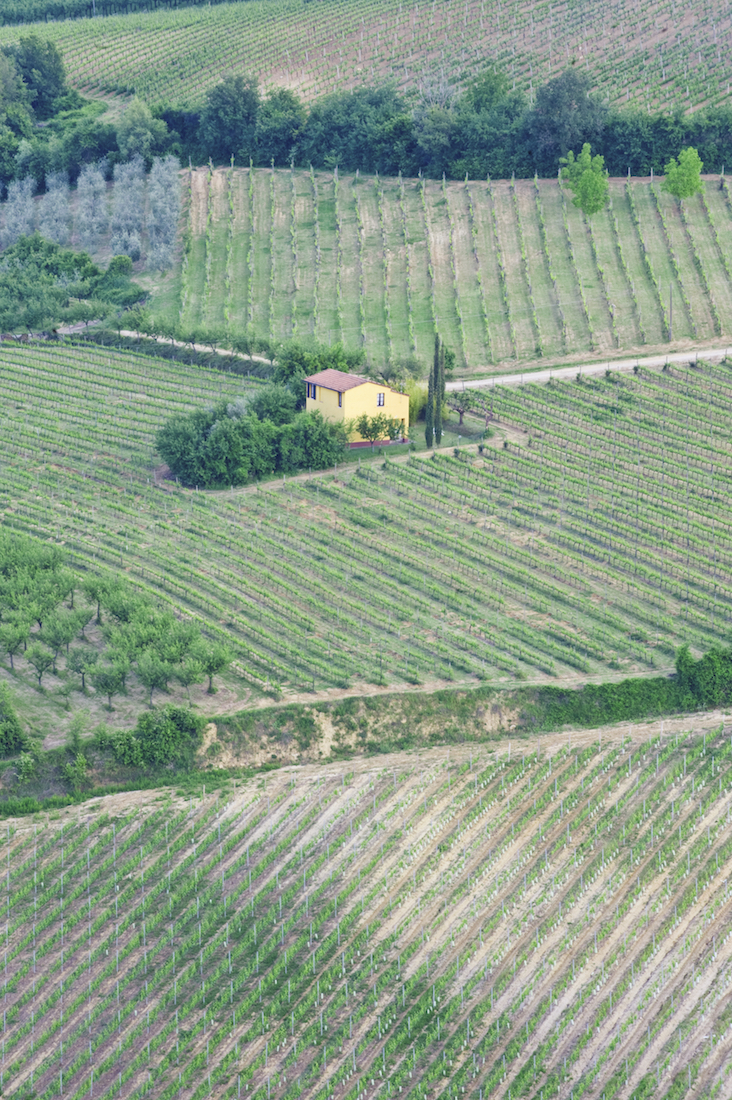 Aerial mapping for cropland inspection