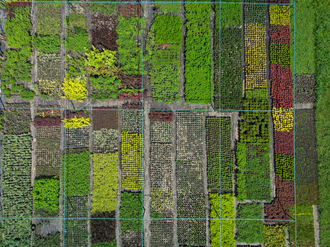 agriculture drone view