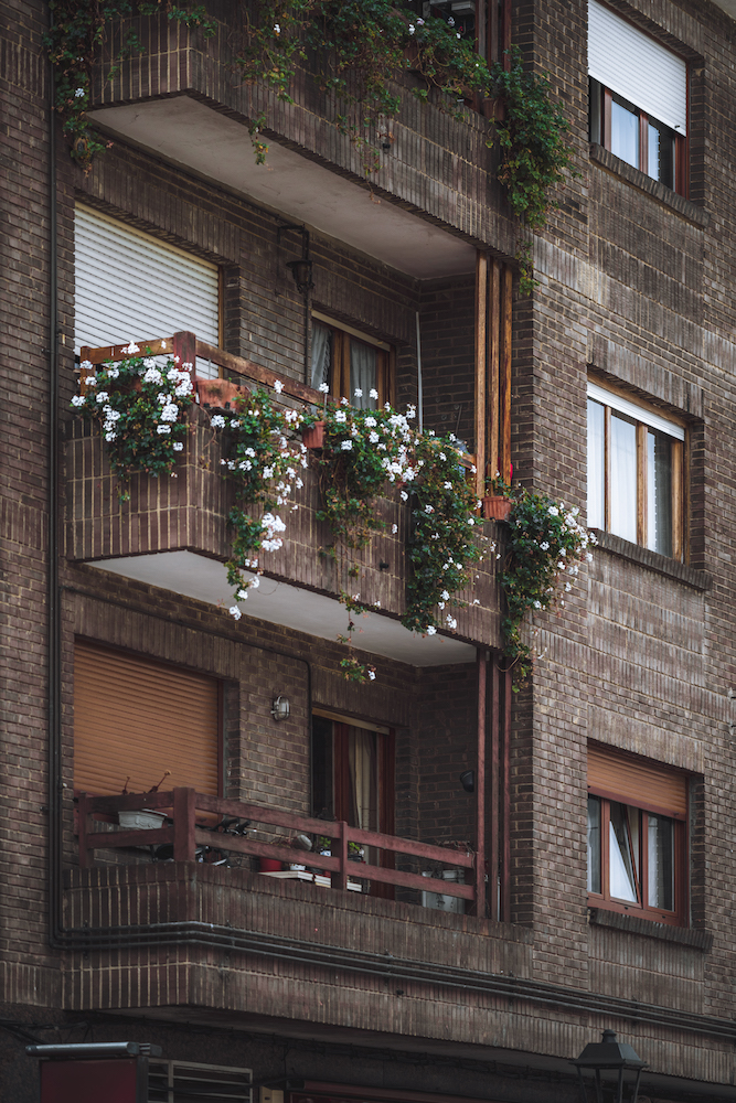 Multi-family Urban balcony with ivy and flowers